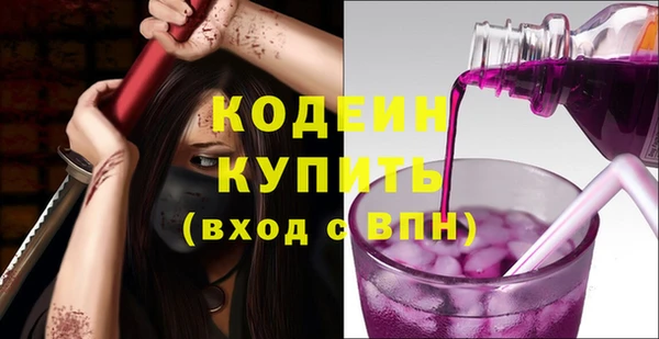 круглые Гусев