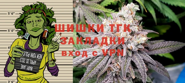 круглые Гусев