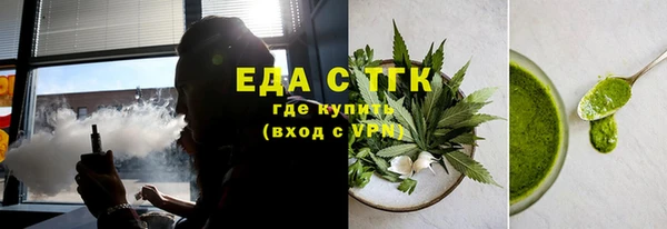 индика Шадринск