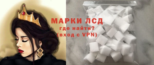 индика Шадринск