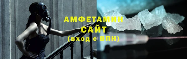 индика Шадринск