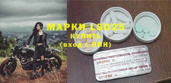 индика Шадринск