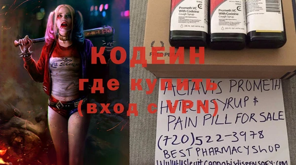индика Шадринск