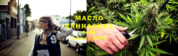 индика Шадринск