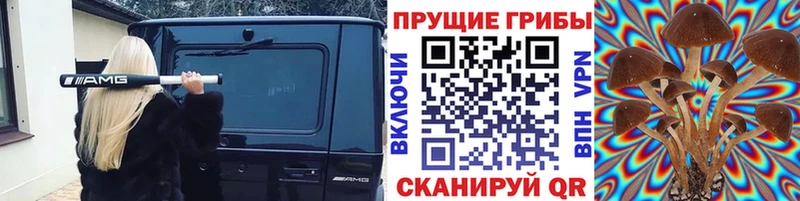 мега зеркало  Нея  Галлюциногенные грибы GOLDEN TEACHER 